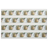 Tissu Étiquette de paquets de graines de navets (Fat Quarter)