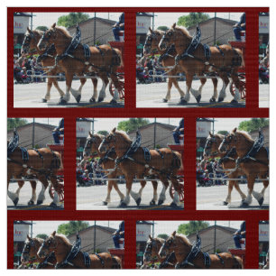 Tissu Évêque Mule Days 2018