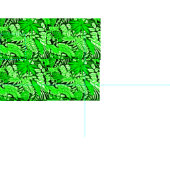 Tissu Fabric-Floral 5 (Carreau)