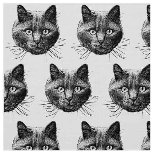 Tissu Face de chat (Échantillon)