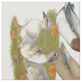 Tissu Famille de canards de Saxe (Fermer)