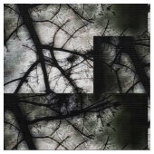 Tissu Fermeture (Fermer)