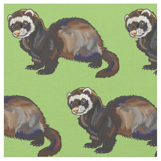 Tissu ferret (Mustela putorius furo) (Fermer)