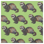 Tissu ferret (Mustela putorius furo) (Échantillon)