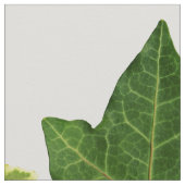 Tissu Feuille anglais de lierre (Détail)
