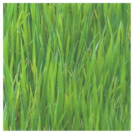 Tissu Feuille d'herbe (Fermer)