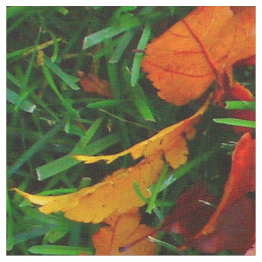 Tissu Feuilles Automne (Fermer)