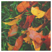 Tissu Feuilles Automne (Échantillon)
