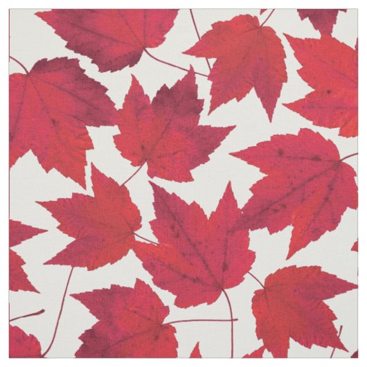 Tissu Feuilles de l'érable rouge d'automne (Échantillon)