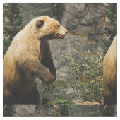 Tissu Fière Ours (Fermer)