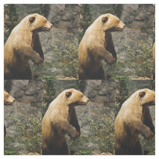 Tissu Fière Ours (Échantillon)