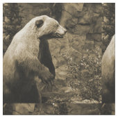 Tissu Fière Ours (Fermer)