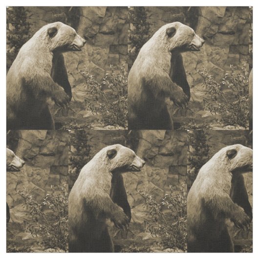 Tissu Fière Ours (Échantillon)