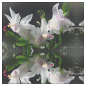 Tissu Fleur de cactus de Noël (Fermer)