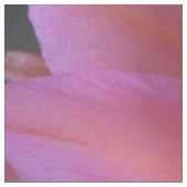 Tissu Fleur de Cactus rose dans le désert (Échantillon)