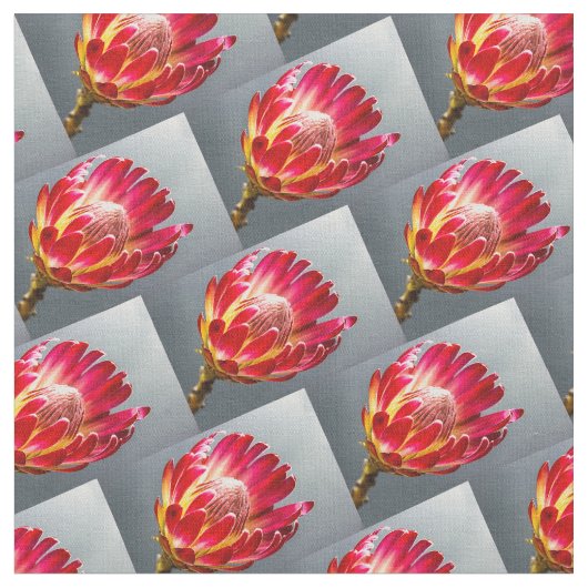 Tissu Fleur de Protea, motif de fleurs (Fermer)