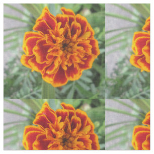 Tissu Fleur orange de souci