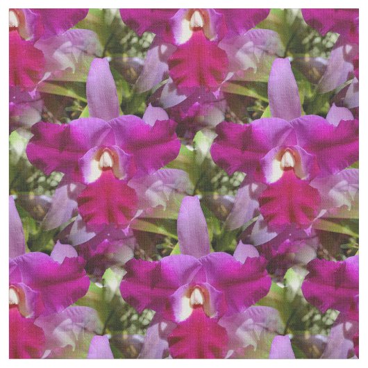 Tissu Fleur tropicale d'orchidée de Cattleya (Fermer)