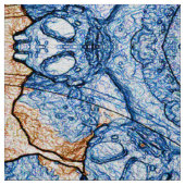 Tissu Fleurs antiques.... (Échantillon)