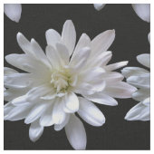 Tissu Fleurs blanches motifs de marguerite (Fermer)