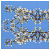 Tissu Fleurs de cerisier blanc printemps (Fermer)