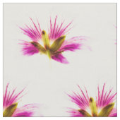 Tissu Fleurs de plumes printanières (Fermer)