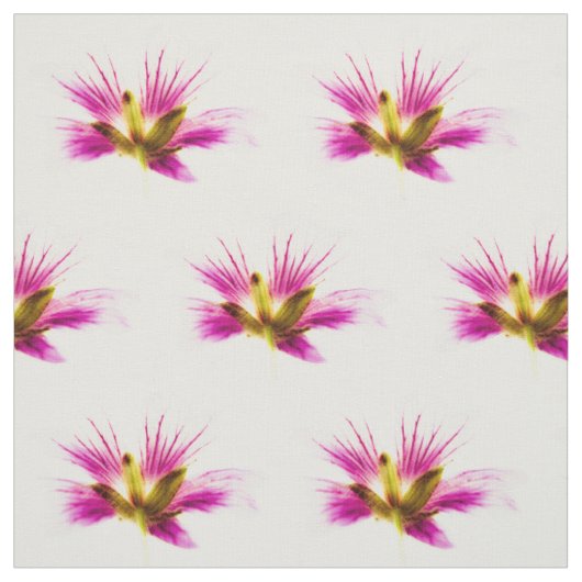 Tissu Fleurs de plumes printanières (Échantillon)