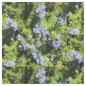 Tissu fleurs de romarin sur vert (Fermer)