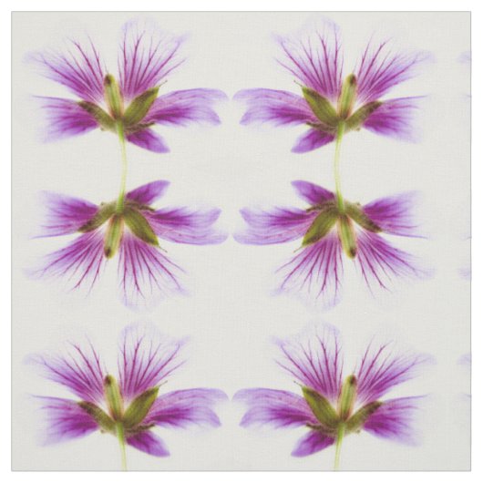 Tissu Fleurs violettes (Échantillon)