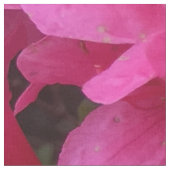 Tissu floral assez rose (Fermer)