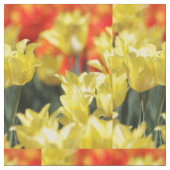 Tissu Flore tombée Été Glow (Fermer)
