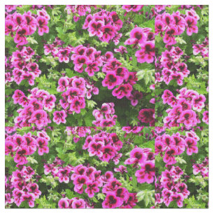 Tissu "Flores vives : Geraniums roses chauds sur Bush lu
