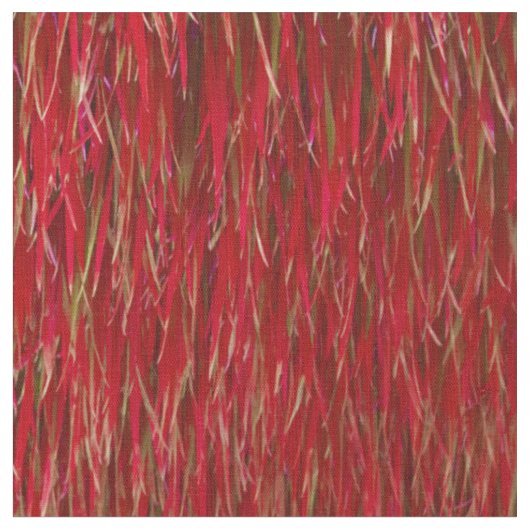 Tissu Fourrure rouge (Fermer)