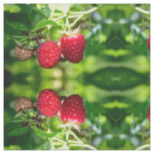 Tissu Framboise (Fermer)