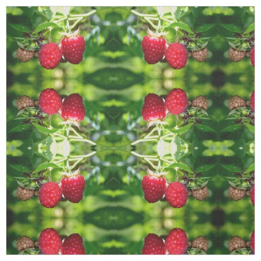 Tissu Framboise (Échantillon)