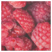 Tissu Framboises rouges fraîches (Échantillon)