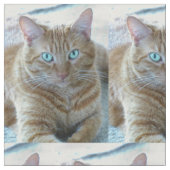 Tissu Frankie (Fermer)