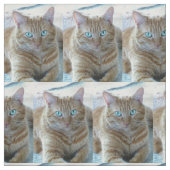 Tissu Frankie (Échantillon)