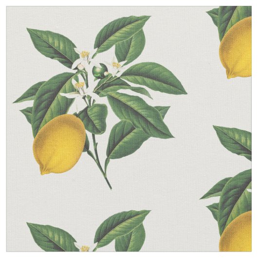 Tissu Fruit de citron vintage (Fermer)