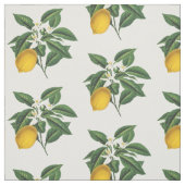 Tissu Fruit de citron vintage (Échantillon)