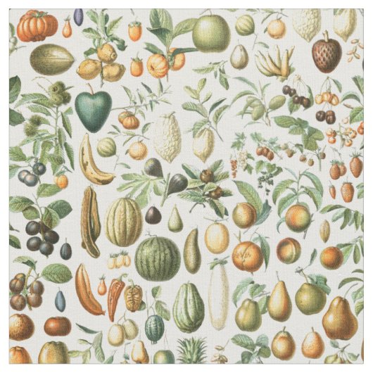 Tissu Fruits d'Adolphe Millot (Fermer)