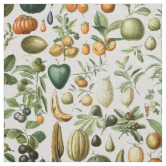 Tissu Fruits d'Adolphe Millot
