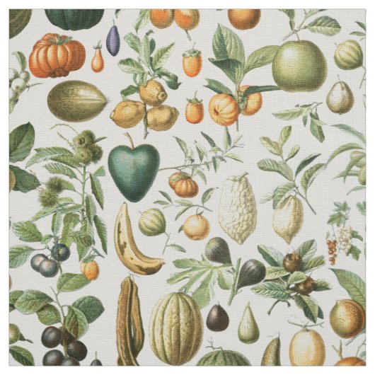 Tissu Fruits d'Adolphe Millot (Échantillon)