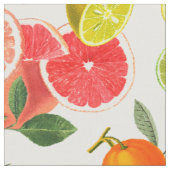 Tissu Fruits d'agrumes colorés (Fermer)