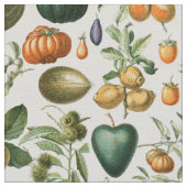 Tissu Fruits de Millot Adolphe (Détail)