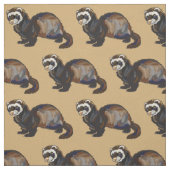Tissu furet (Mustela putorius furo) (Échantillon)