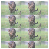 Tissu Gabe (Échantillon)