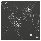 Tissu Galaxy Space Stars and Branches (Fermer)