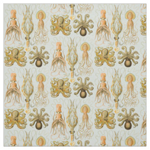 Tissu Gamochonia d'Ernst Haeckel