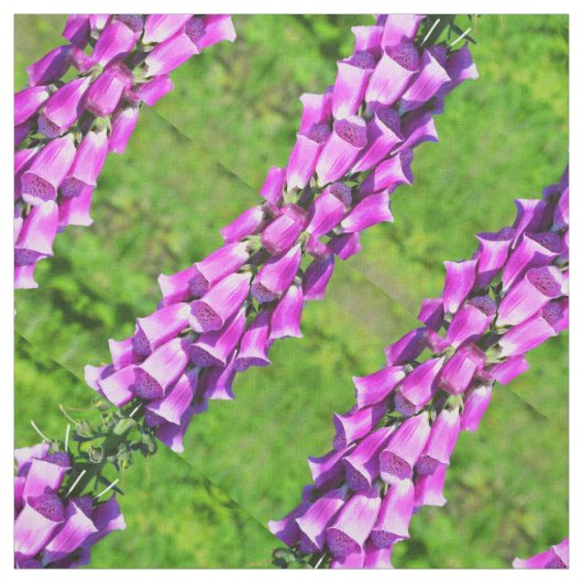 Tissu Gants de renard (Échantillon)